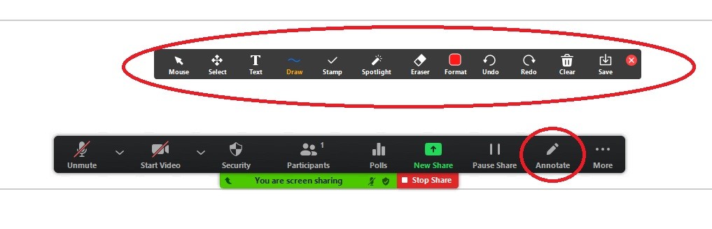 screenshot of Zoom annotate tool