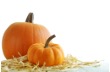 pumpkins