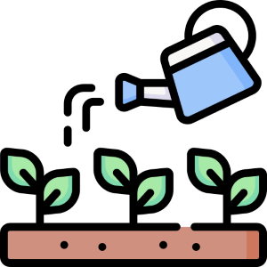 watering plants